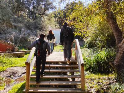 1636268893101 1636268893101