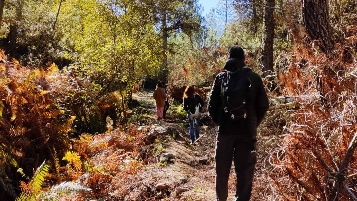 Rutas interpretativas