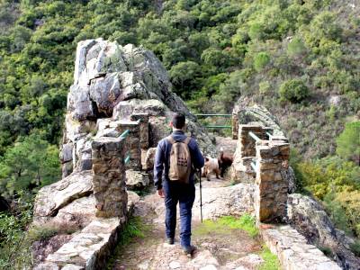 3. GEORUTA 3. GEORUTA