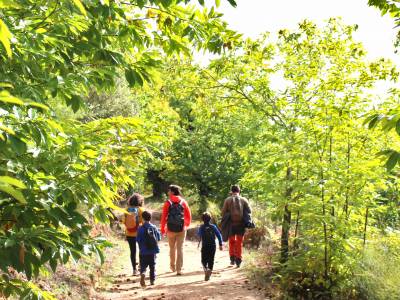 4. RUTA 2B 4. RUTA 2B