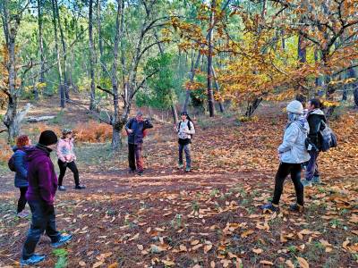 Baño de Naturaleza