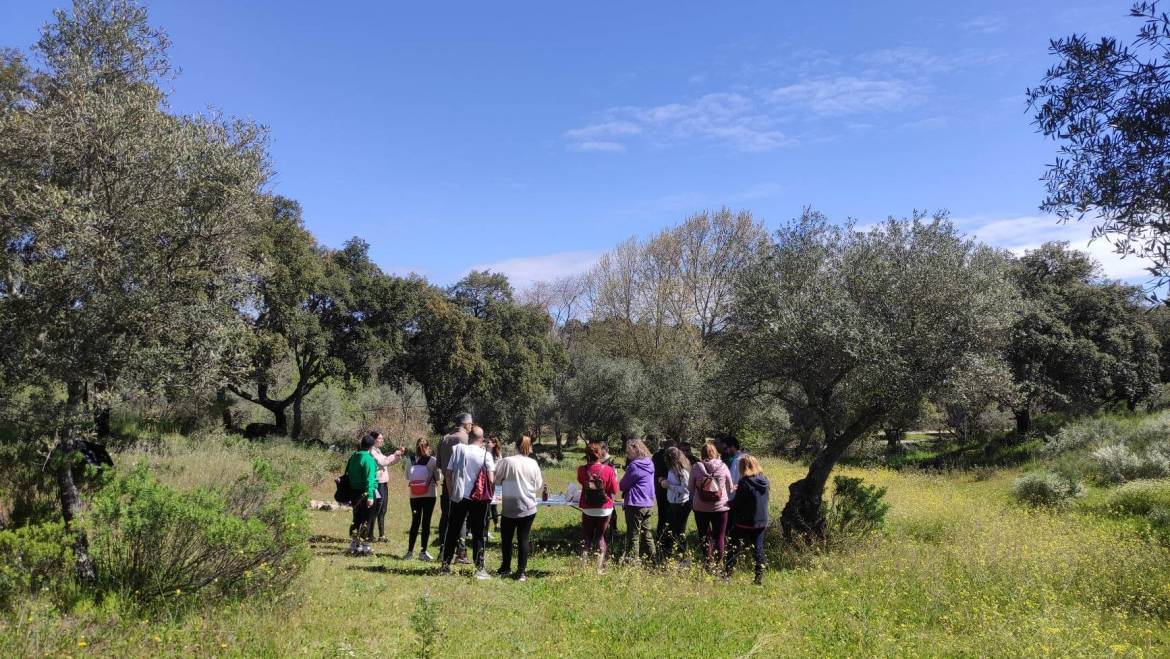 Experiencias Bienestar para Empresas