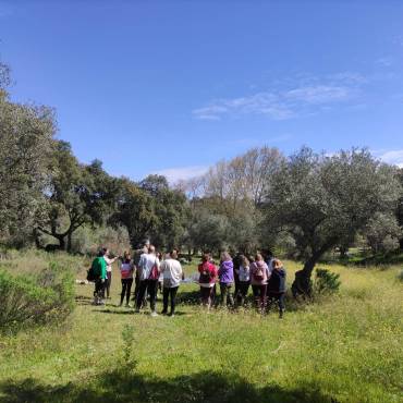 Experiencias Bienestar para Empresas