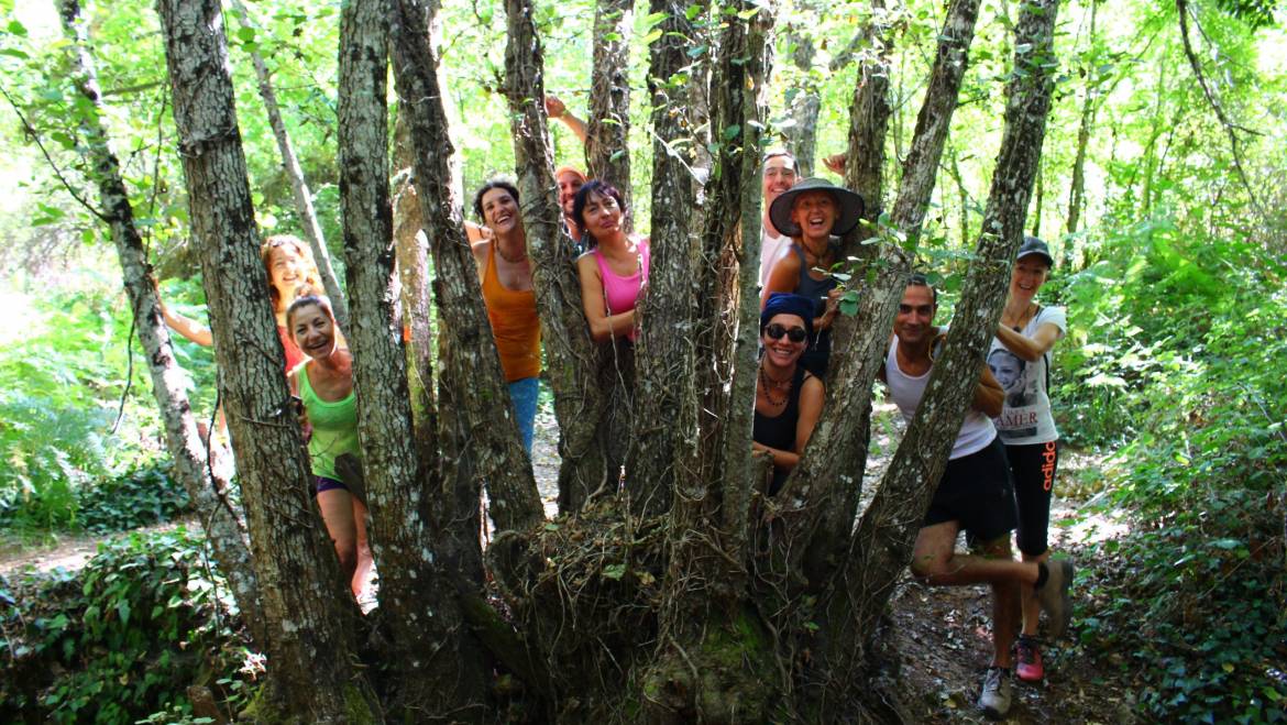 Naturaleza + Bienestar para equipo