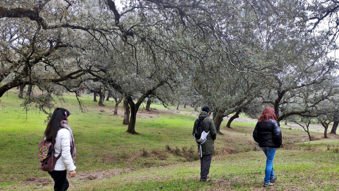 Baños de Naturaleza