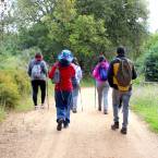 4. RUTA 2