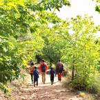 4. RUTA 2B