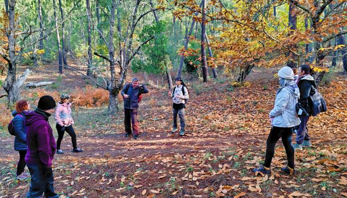 Baño de Naturaleza
