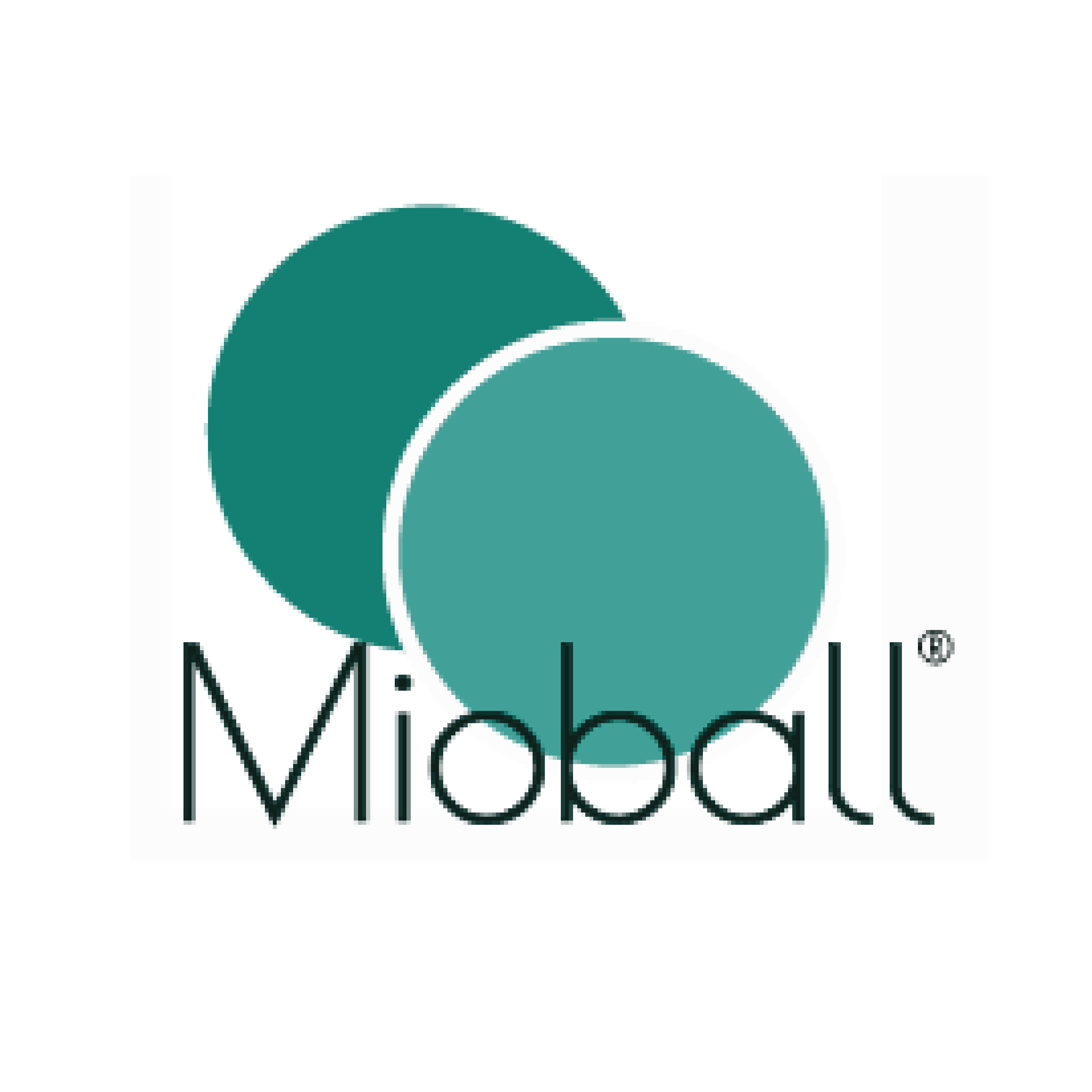 Metodología Mioball