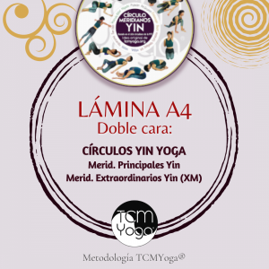A4 - Meridianos Yin