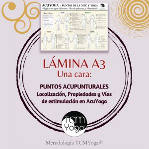 A3 - Puntos acupunturales