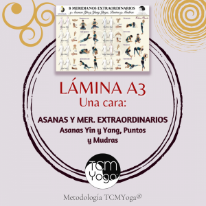 A3 - Meridianos Extraordinarios